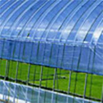 アキレス 農業用外張りビニール 梨地 0.1x200x100m-www.malaikagroup.com